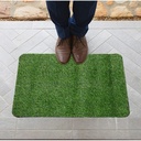 Tapis d'Entrée Tapis de Pelouse En Gazon Artificiel 80 X 50 cm
