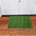 Tapis d'Entrée Tapis de Pelouse En Gazon Artificiel 80 X 50 cm