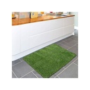 Tapis d'Entrée Tapis de Pelouse En Gazon Artificiel 80 X 50 cm