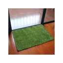 Tapis d'Entrée Tapis de Pelouse En Gazon Artificiel 80 X 50 cm