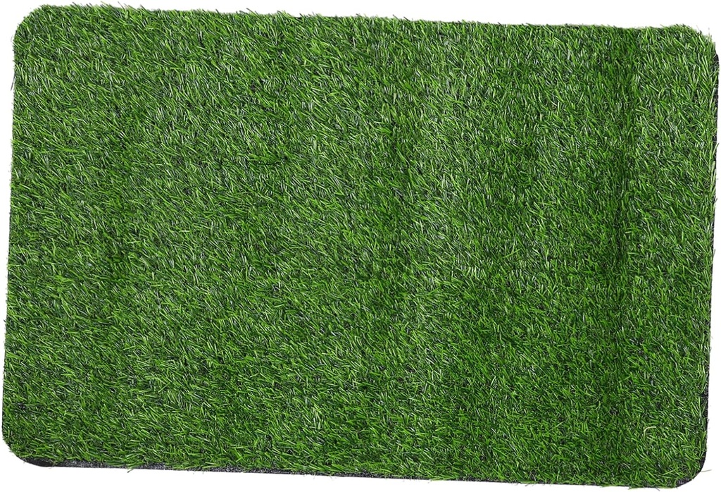 Tapis d'Entrée Tapis de Pelouse En Gazon Artificiel 80 X 50 cm