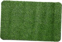 Tapis d'Entrée Tapis de Pelouse En Gazon Artificiel 80 X 50 cm