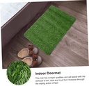 Tapis d'Entrée Tapis de Pelouse En Gazon Artificiel 80 X 50 cm