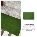 Tapis d'Entrée Tapis de Pelouse En Gazon Artificiel 80 X 50 cm