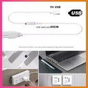 Ruban LED RGB Néon 5M USB Avec Télécommande 