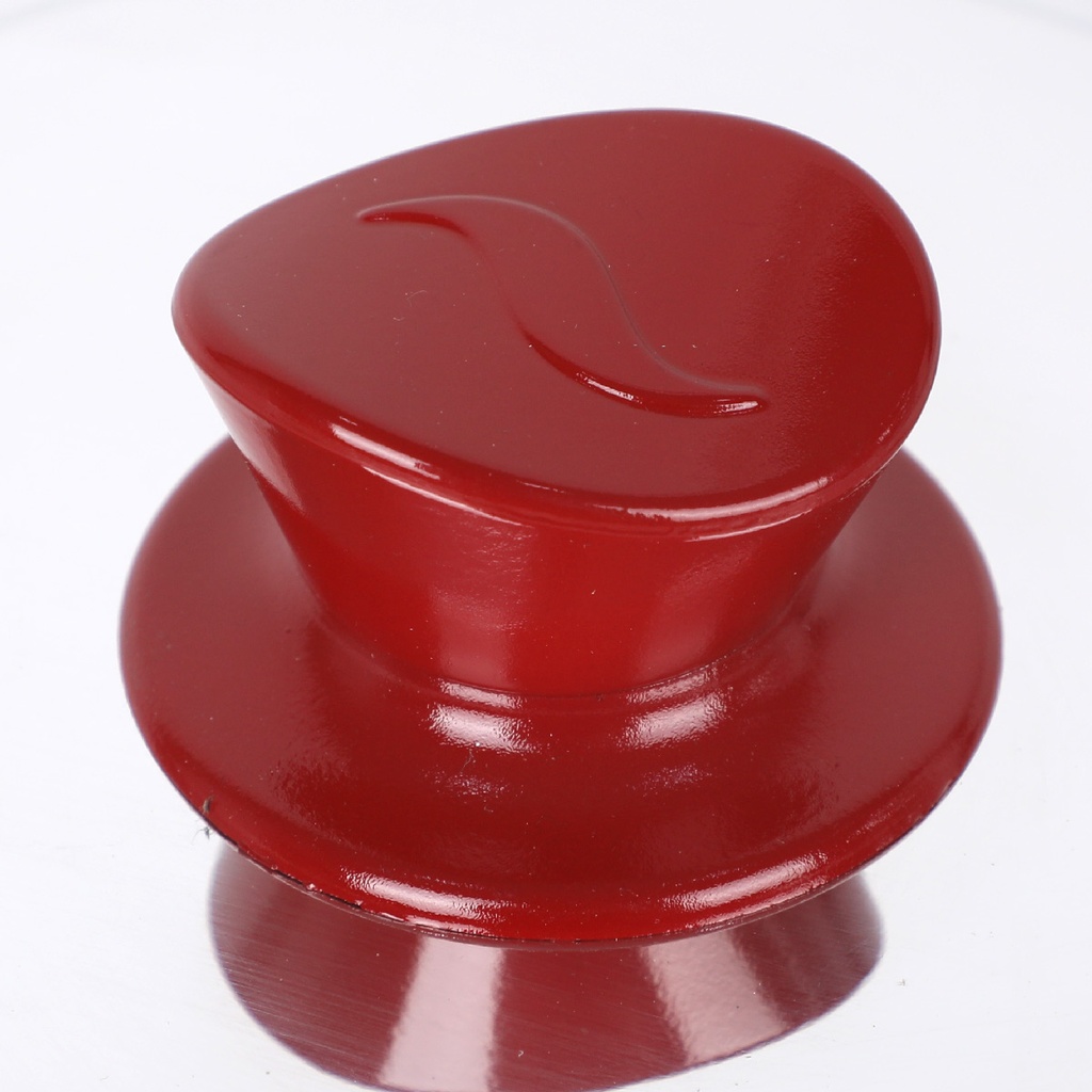 OUBOURSINA Couscoussier Aluminium 6 L 22 Cm avec Poignée PVC-Rouge