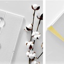 Pack de 10 Panneaux Muraux 3D Adhésifs Anti-Humidité – 77×70 cm – Blanc Motif Rainuré 