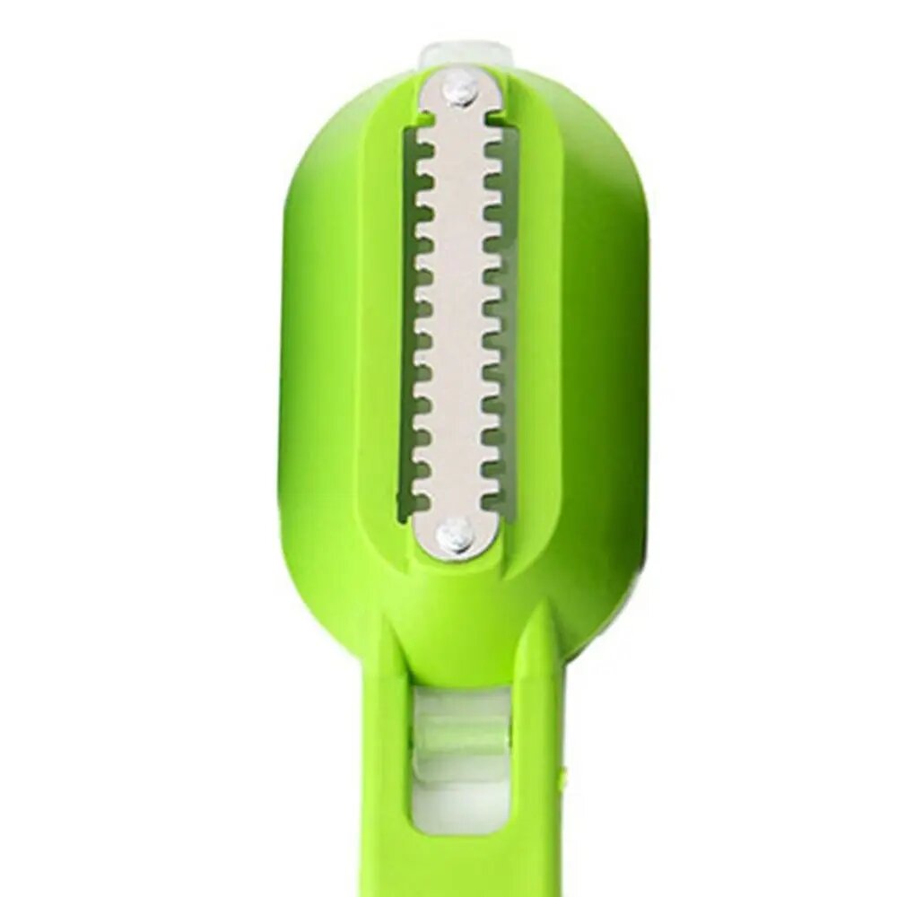 Grattoir à écailles de poisson en plastique-Vert