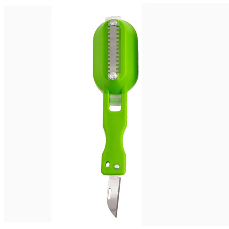 Grattoir à écailles de poisson en plastique-Vert