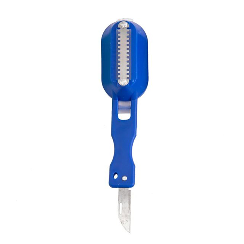 Grattoir à écailles de poisson en plastique-Bleu