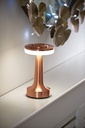 Lampe de Table Portable en Bronze Avec Tactile