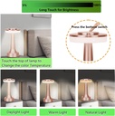 Lampe de Table Portable en Bronze Avec Tactile