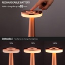 Lampe de Table Portable en Bronze Avec Tactile