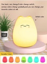 Lampe Avec Couleurs Ajustables En Silicone 