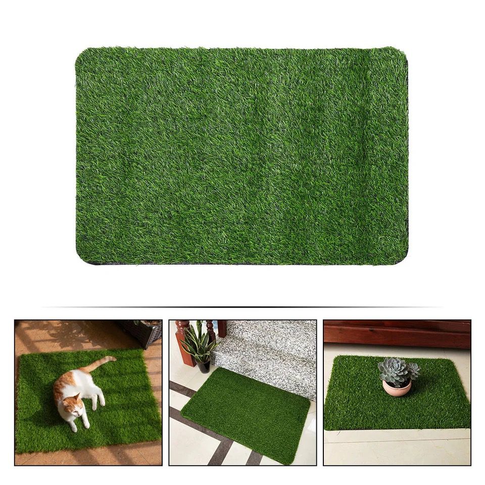Tapis d'Entrée Tapis de Pelouse En Gazon Artificiel 80 X 50 cm