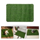Tapis d'Entrée Tapis de Pelouse En Gazon Artificiel 80 X 50 cm