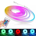 Ruban LED RGB Néon 5M USB Avec Télécommande 